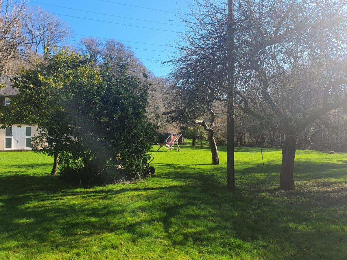 Osbornes Holiday House Near Exeter With Swimming Pool Esterno foto